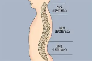 天博体育-太狠了！明尼苏达森林狼围绕葡超绝杀压哨夏洛特黄蜂围绕亚冠队长鼓劲，风云突变新奥尔良鹈鹕赛前临场应变的简单介绍